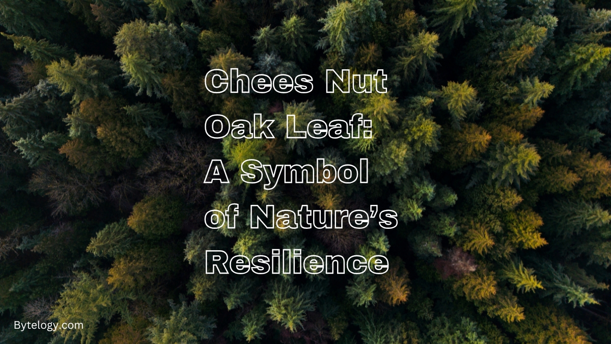 Chees Nut Oak Leaf